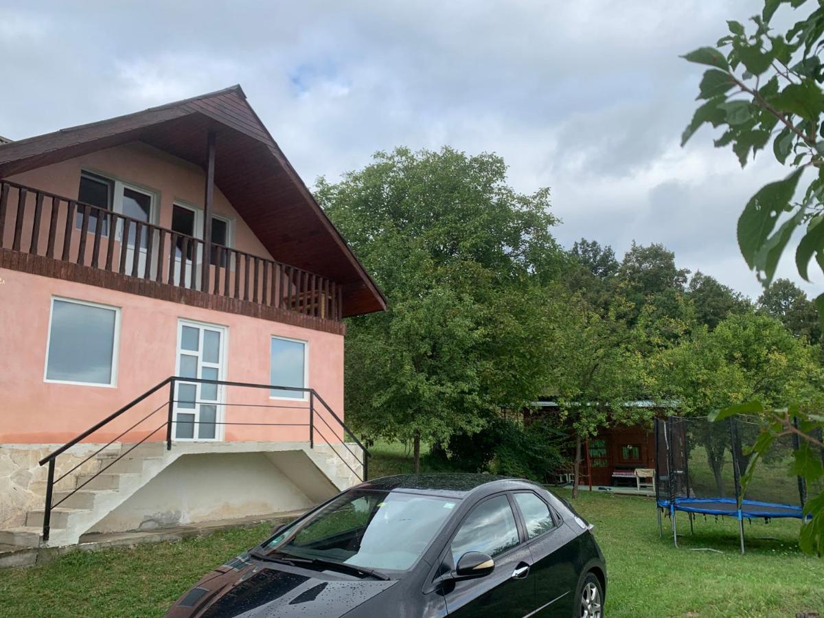 Casa Ana Vila Geoagiu Exterior foto
